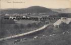 Ansichtskarte: Titisee - Gesamtansicht 2 - Schwarzwald - Freiburg Breisgau 1921 nach Klein Berkel Hameln Landwirt Wilhelm Thielke - J. Velten Karlsruhe - Titisee-Neustadt - Hochschwarzwald  ...